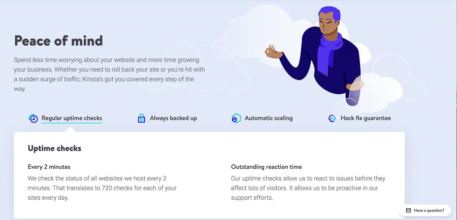 Kinsta hosting features