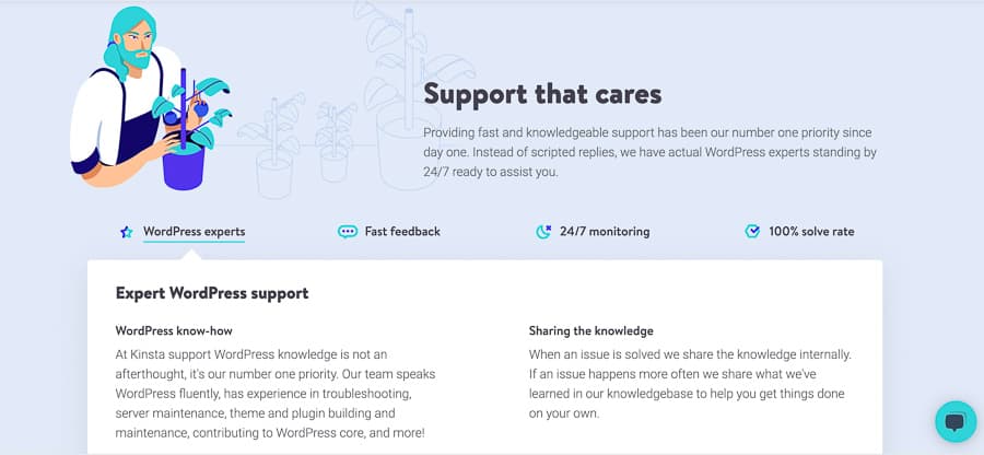 Kinsta support