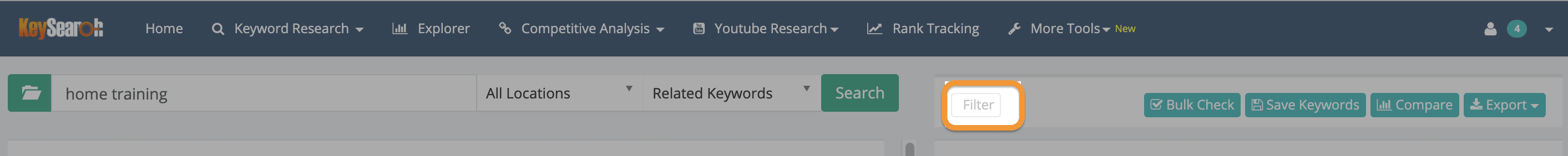 keyword filter