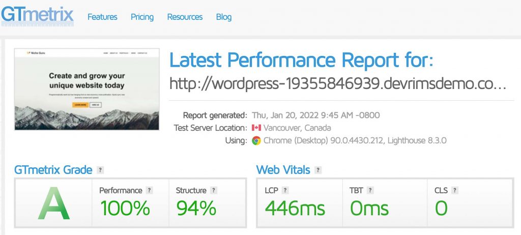 Devrims GT metrix speed test