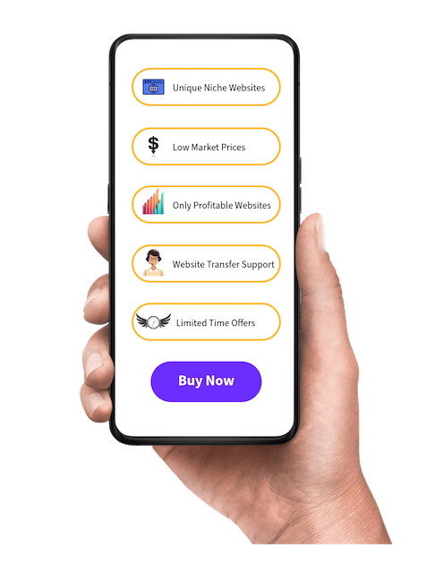 buy niche websites